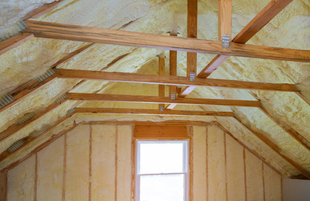 Best Insulation Inspection Services  in Essex Junction, VT