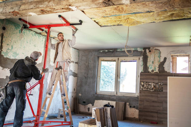 Best Commercial Insulation Contractor  in Essex Junction, VT