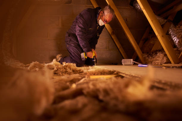 Best Professional Insulation Contractor  in Essex Junction, VT